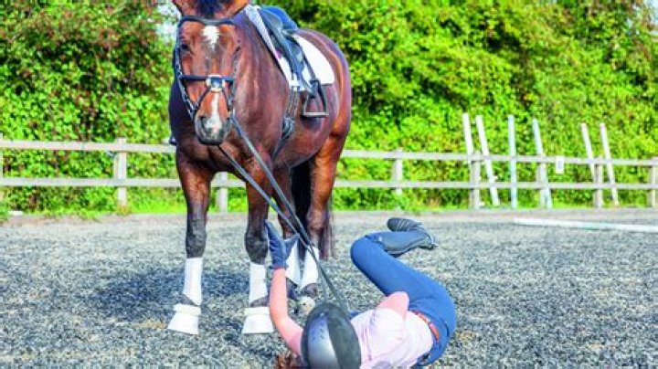 Does horse insurance cover the rider?
