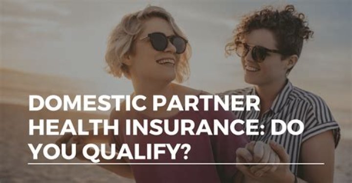 Does Illinois offer domestic partner insurance?