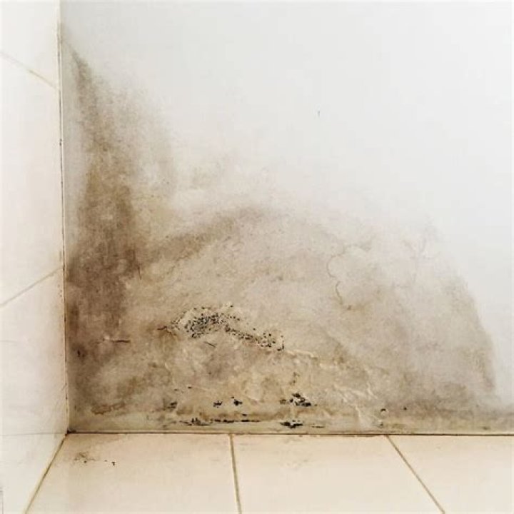 Does insurance cover water damage to walls?