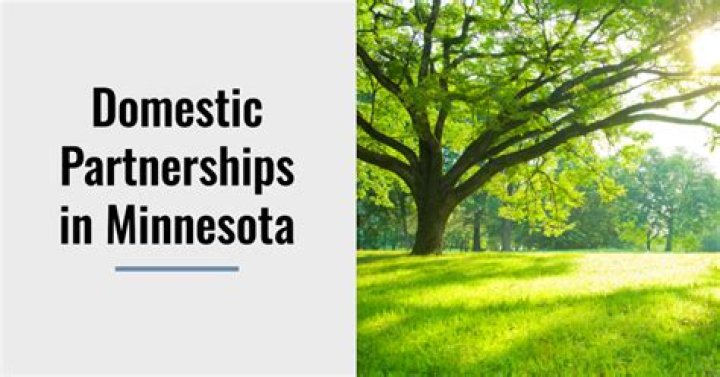 Does Minnesota recognize domestic partnerships?