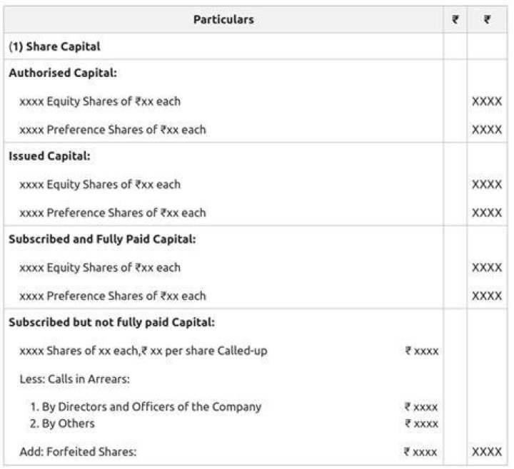 Does paid-up capital include share premium?