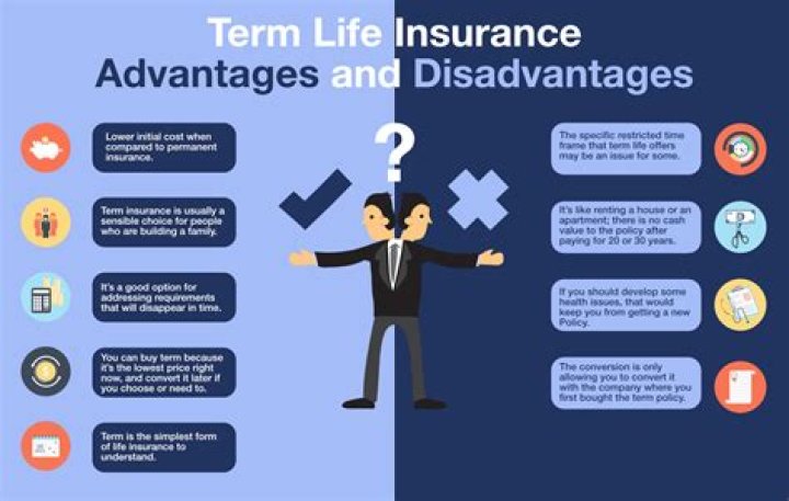 Does term life insurance have dividends?