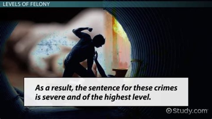 Have you ever been convicted of a felony meaning?