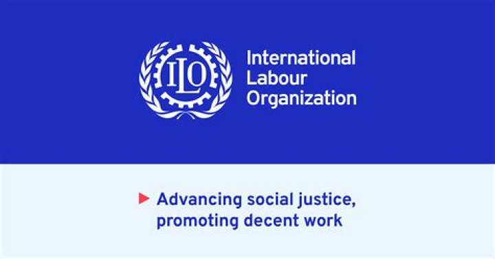 How are international Labour standards used?