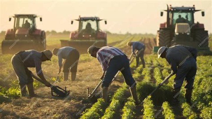 How are Labours provided in farming?