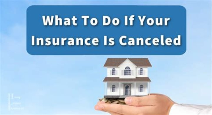How can I cancel my insurance early?