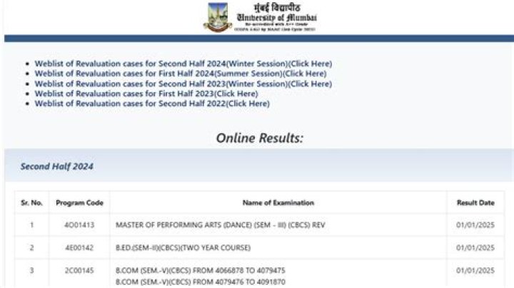 How can I check my Mumbai University result?
