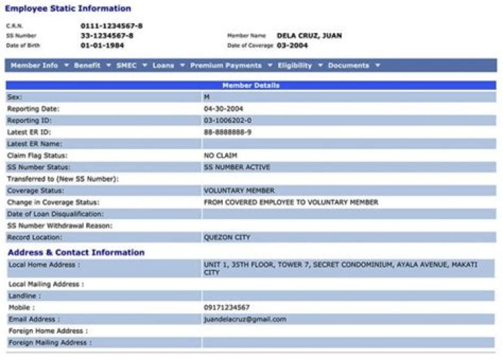 How can I check my SSS details?
