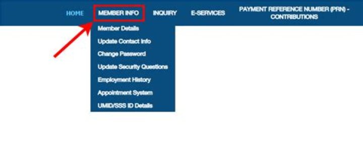 How can I print my SSS member information?
