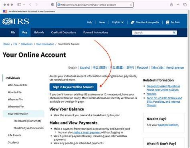 How can I see my IRS letter online?