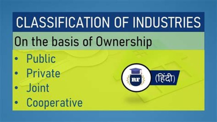 How can we classify industries on the basis of ownership Class 8?