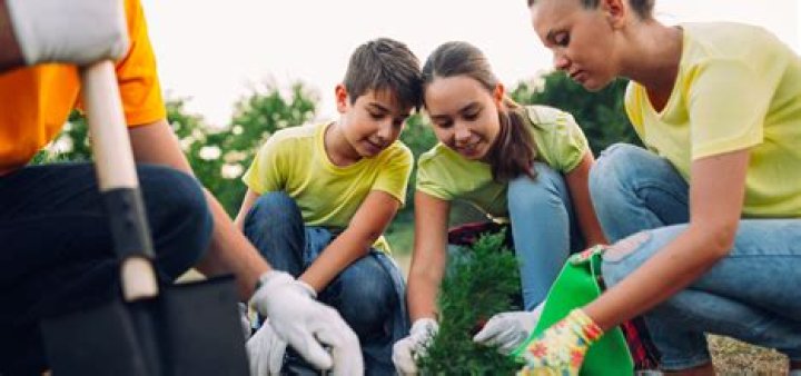 How can you contribute towards the betterment of your school?