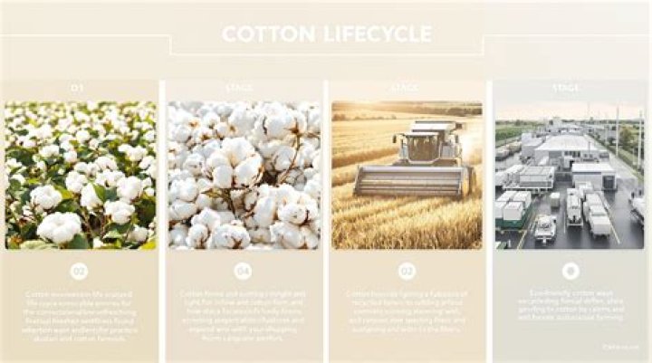 How did the cotton gin change the textile industry answers?
