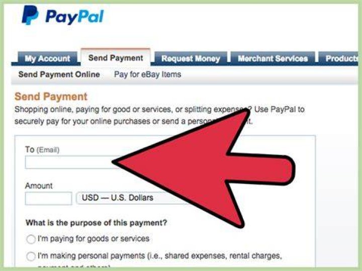 How do I accept PayPal payments for my business?