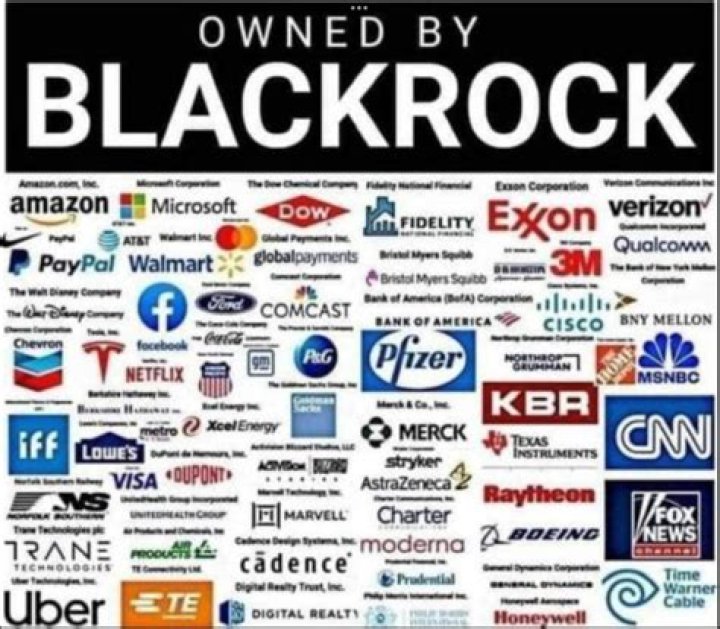 How do I find a locally owned black business?