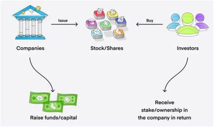How do I find stock shares?