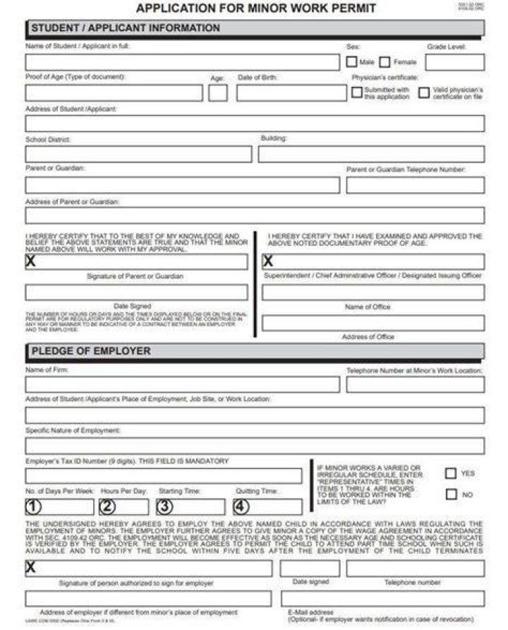 How do I get a minor work permit in Florida?