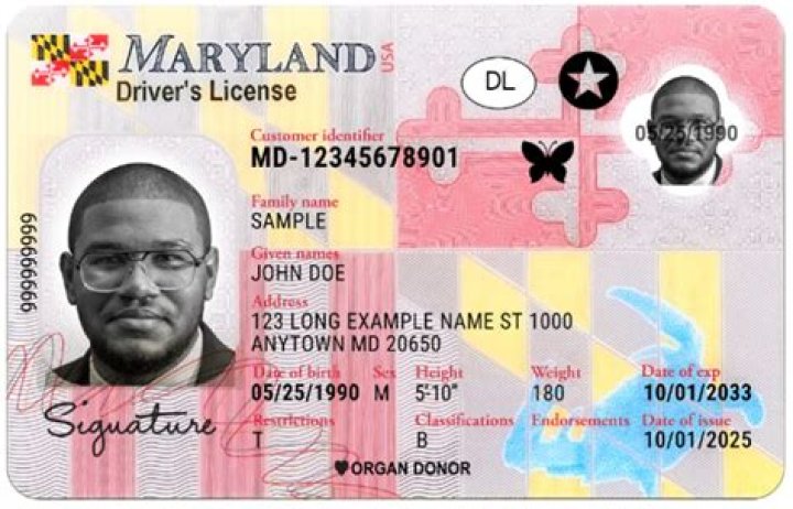 How do I get my title and license in Maryland?