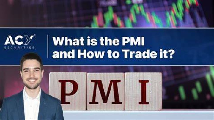 How do I know if I have PMI insurance?