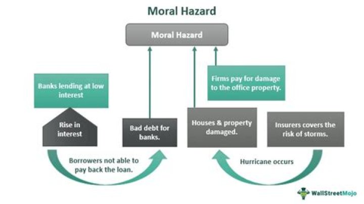 How do insurance companies reduce the risk of moral hazard quizlet?