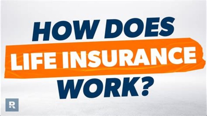 How do insurance companies work?