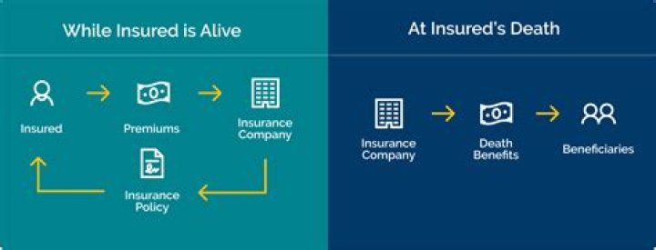 How do life insurance companies find out your medical history?