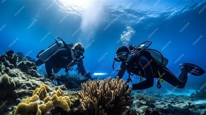 How do marine biologists study fish?