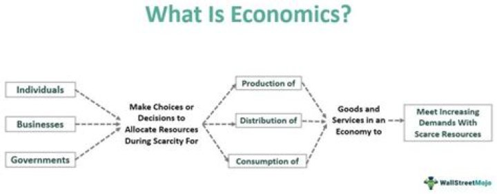 How do the British say economics?
