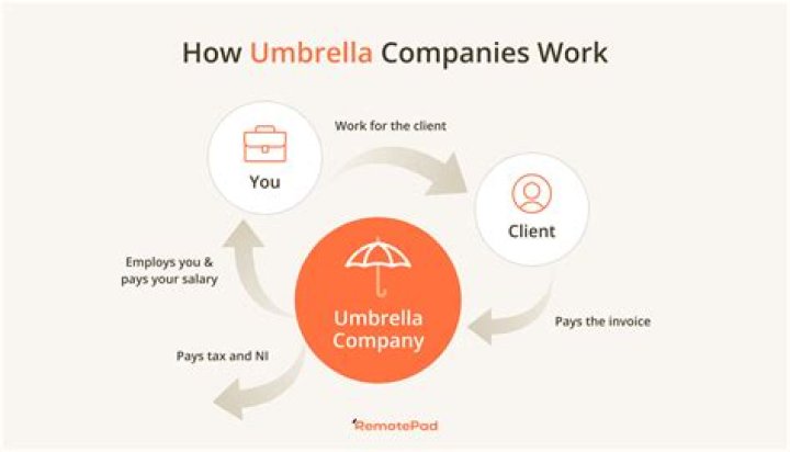 How do umbrella payroll companies work?