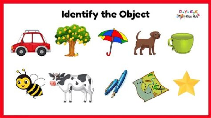 How do we see a object?