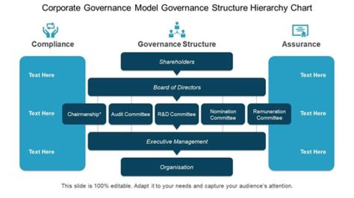How do you achieve effective governance?