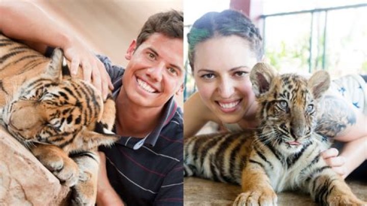 How do you become a zoo animal handler?