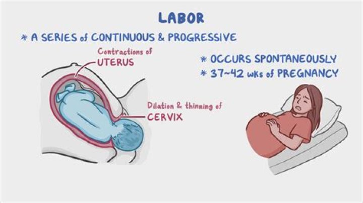 How do you calculate Labour man days?