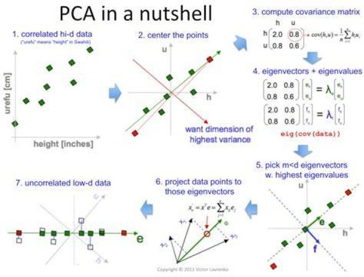 How do you calculate principal reduction?