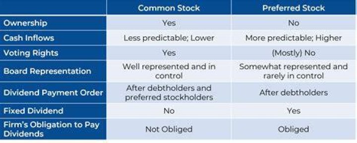 How do you divide dividends between common and preferred shares?