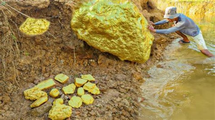 How do you find a gold ring in your grass?