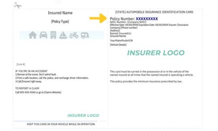 How do you interpret the numbers 100 300 on your insurance policy?