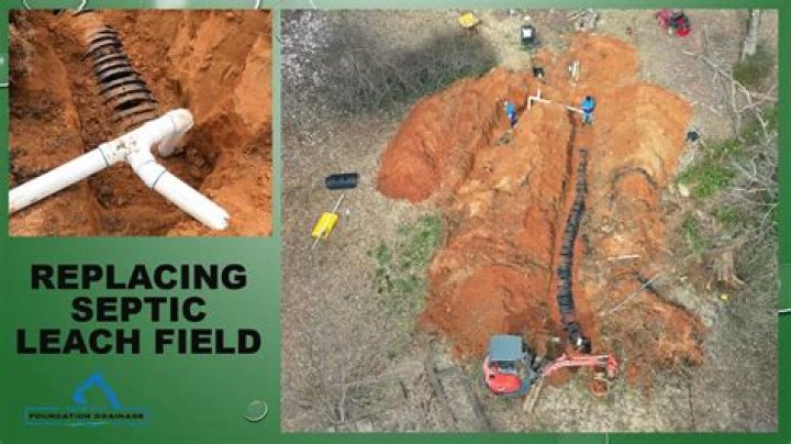 How do you know if your leach field is damaged?