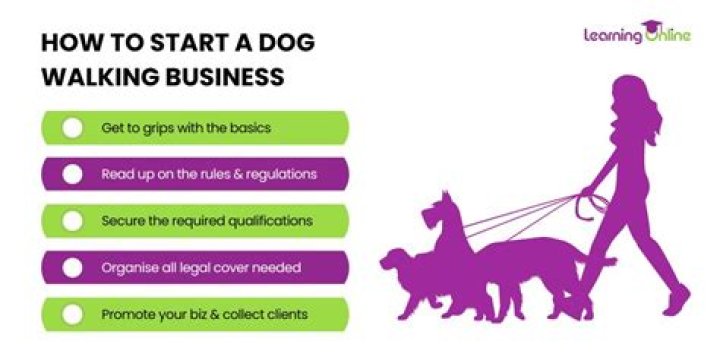 How do you start a dog walking business?