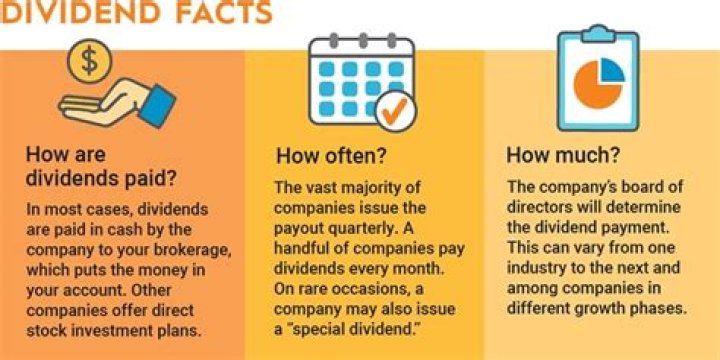 How do you understand dividends paid?