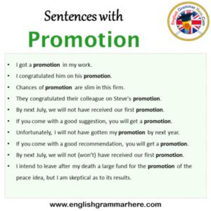 How do you use the word promotion in a sentence?