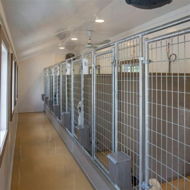 How do you work in a kennel?