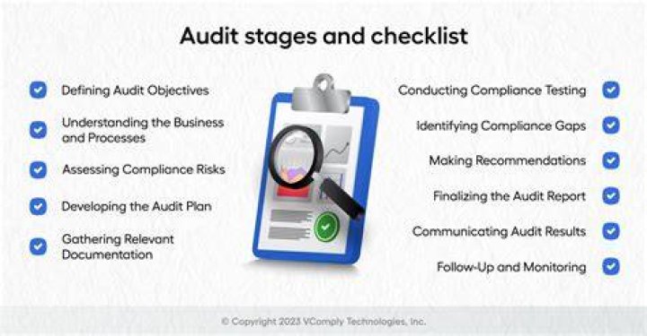 How does a CPA perform an audit for businesses?