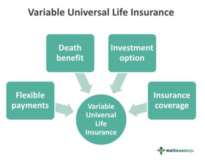 How does a typical variable life policy investment?