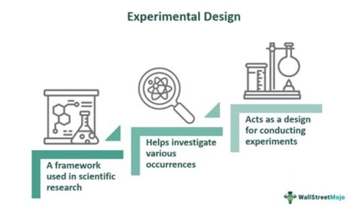 How does an experimental study work?