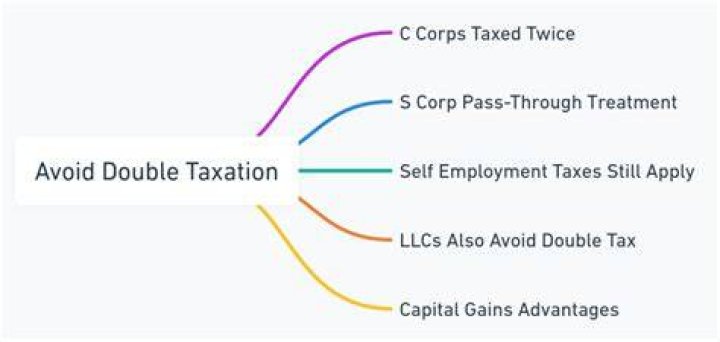 How does an S corp avoid double taxation?