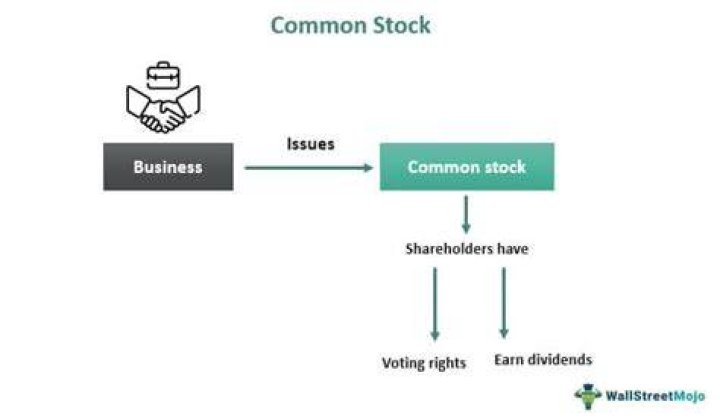 How does common stock affect income statement?
