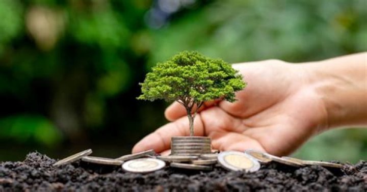 How does peer to peer lending work?