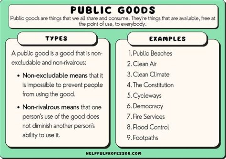 How does the government fund public goods and services?