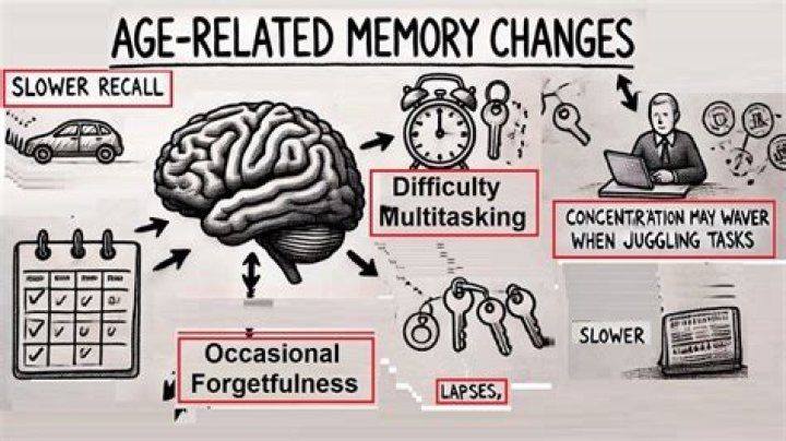 How exactly does age affect memory?